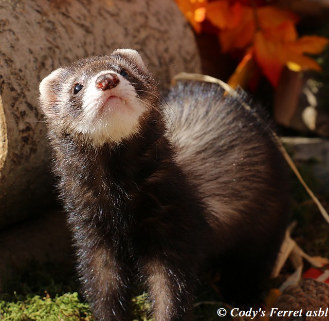 Un petit protégé à parrainer