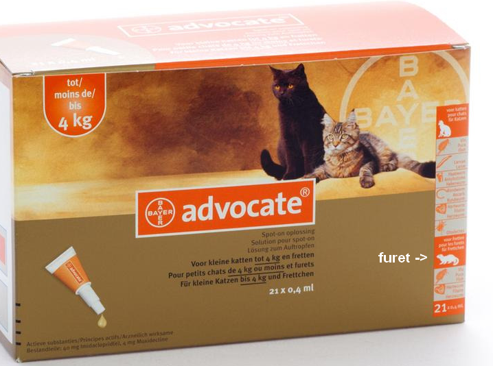 Bayer Advocate